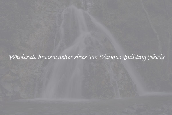 Wholesale brass washer sizes For Various Building Needs