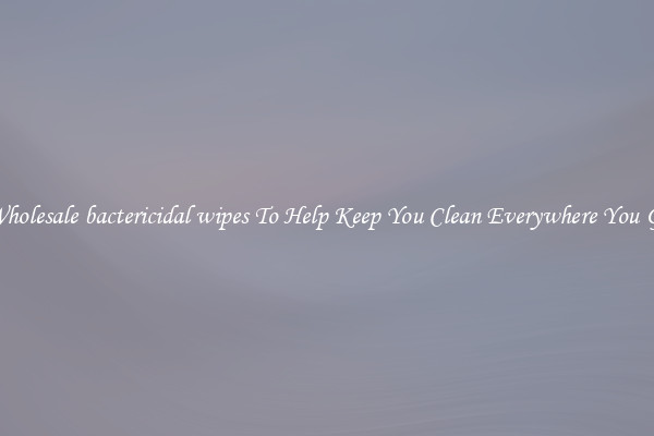 Wholesale bactericidal wipes To Help Keep You Clean Everywhere You Go