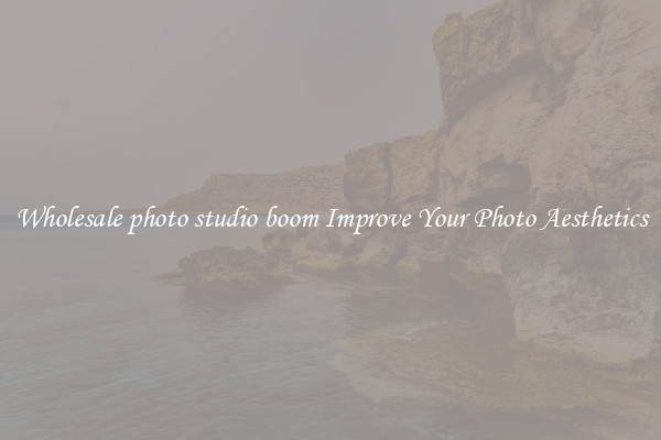 Wholesale photo studio boom Improve Your Photo Aesthetics