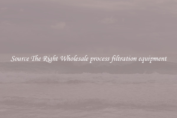Source The Right Wholesale process filtration equipment