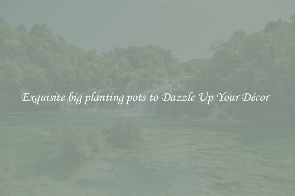 Exquisite big planting pots to Dazzle Up Your Décor  