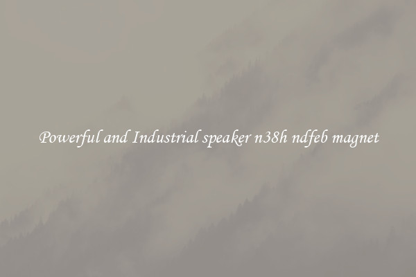 Powerful and Industrial speaker n38h ndfeb magnet