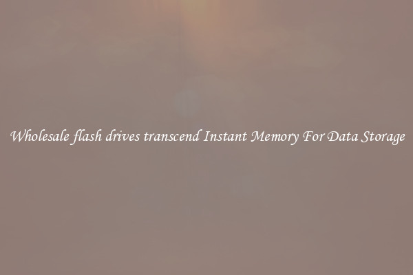 Wholesale flash drives transcend Instant Memory For Data Storage
