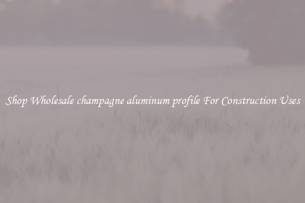Shop Wholesale champagne aluminum profile For Construction Uses