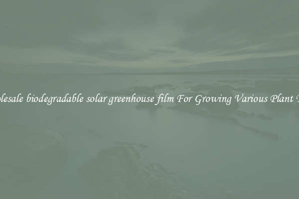Wholesale biodegradable solar greenhouse film For Growing Various Plant Types