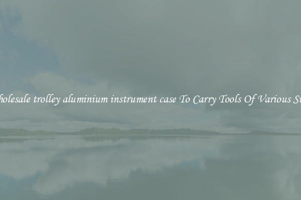 Wholesale trolley aluminium instrument case To Carry Tools Of Various Sizes
