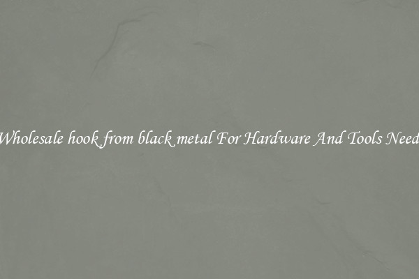 Wholesale hook from black metal For Hardware And Tools Needs