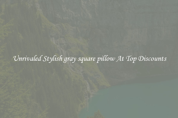 Unrivaled Stylish gray square pillow At Top Discounts