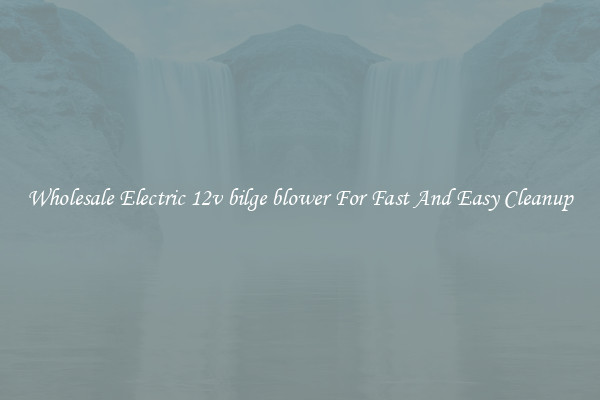 Wholesale Electric 12v bilge blower For Fast And Easy Cleanup