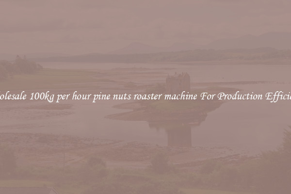 Wholesale 100kg per hour pine nuts roaster machine For Production Efficiency
