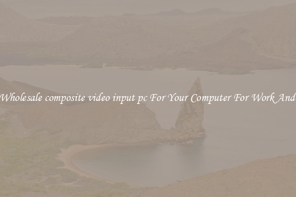 Crisp Wholesale composite video input pc For Your Computer For Work And Home