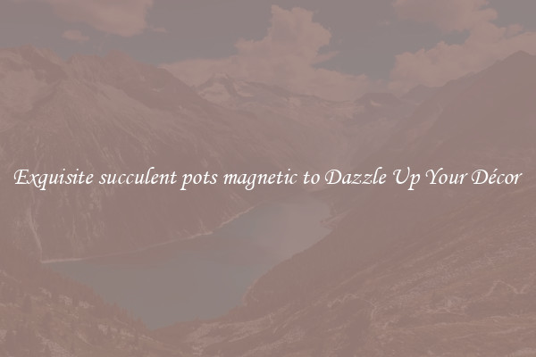 Exquisite succulent pots magnetic to Dazzle Up Your Décor 