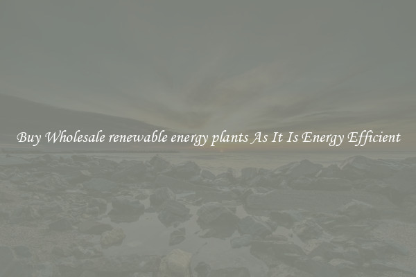 Buy Wholesale renewable energy plants As It Is Energy Efficient