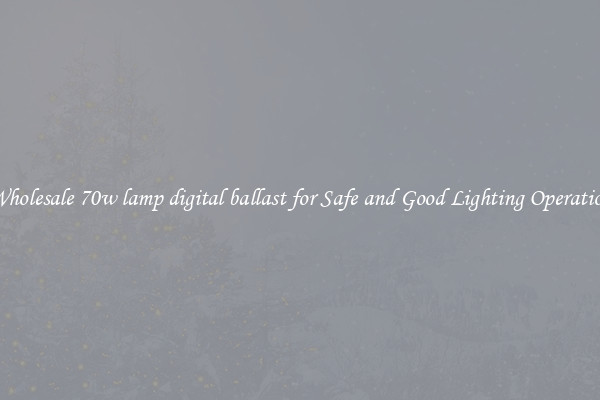 Wholesale 70w lamp digital ballast for Safe and Good Lighting Operation
