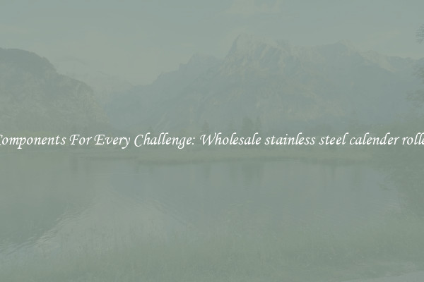 Components For Every Challenge: Wholesale stainless steel calender roller