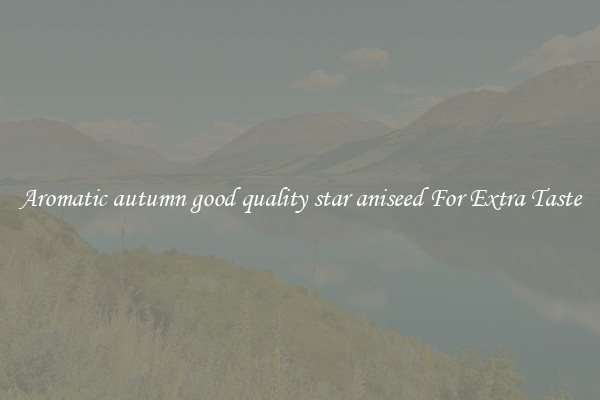 Aromatic autumn good quality star aniseed For Extra Taste