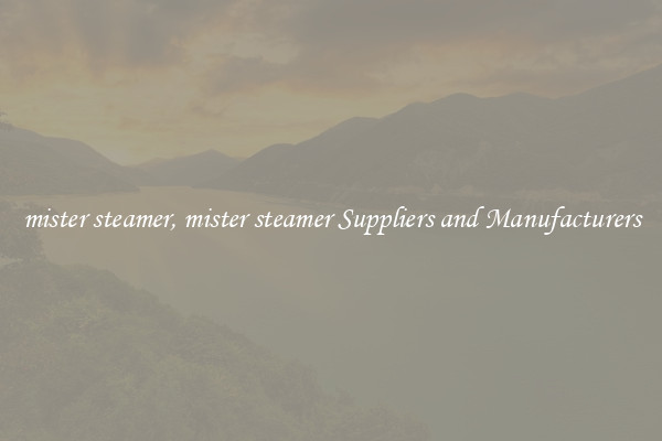 mister steamer, mister steamer Suppliers and Manufacturers