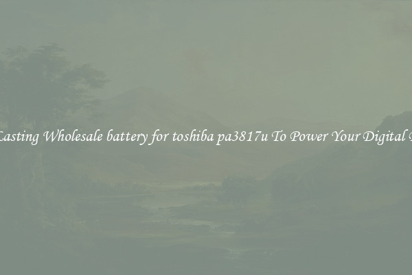 Long Lasting Wholesale battery for toshiba pa3817u To Power Your Digital Devices