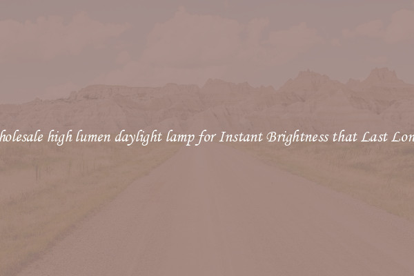Wholesale high lumen daylight lamp for Instant Brightness that Last Longer