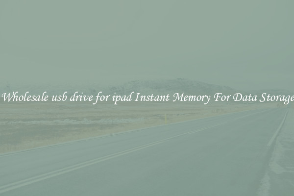 Wholesale usb drive for ipad Instant Memory For Data Storage