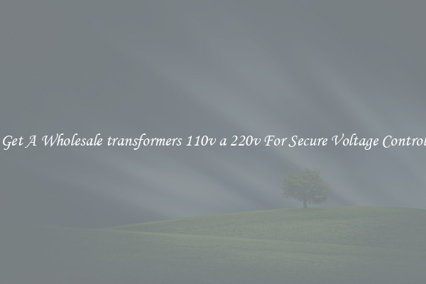 Get A Wholesale transformers 110v a 220v For Secure Voltage Control