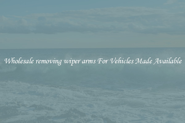 Wholesale removing wiper arms For Vehicles Made Available